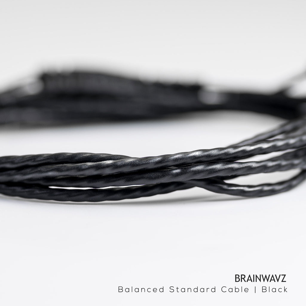 Balanced Cable with MMCX Connector (2.5mm Jack)
